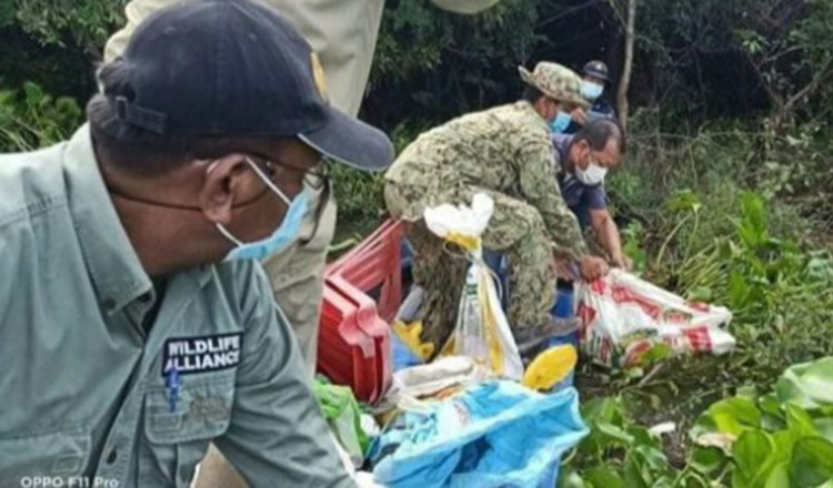 コンポンチュナン　救出した野生のニシキヘビ41匹を自然保護区に戻す