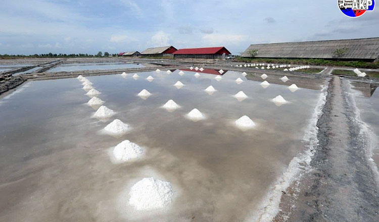 今年の塩生産約7万トン　昨年比では減少　－カンポット、ケップの風物詩ー