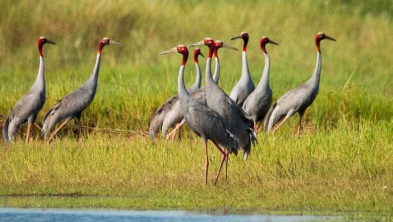 タケオ州 Boeung Prek Lapouvをラムサール湿地に登録計画