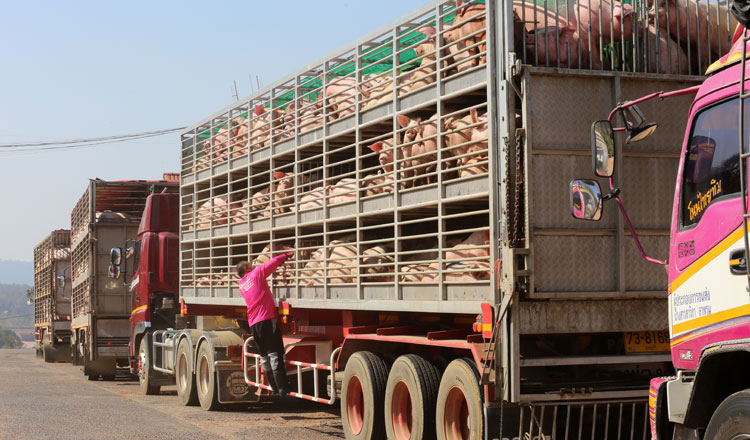コロナ禍でもタイ＝カンボジア間の二国間貿易は前年比で増加