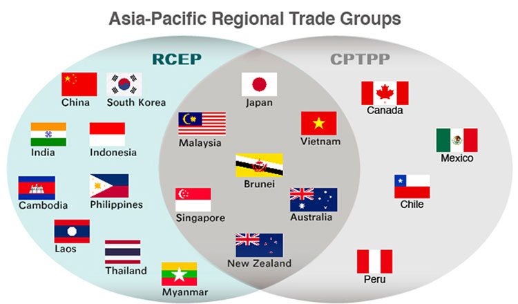 来年1月1日に発効する世界最大の貿易協定：RCEP、期待は高いが…。