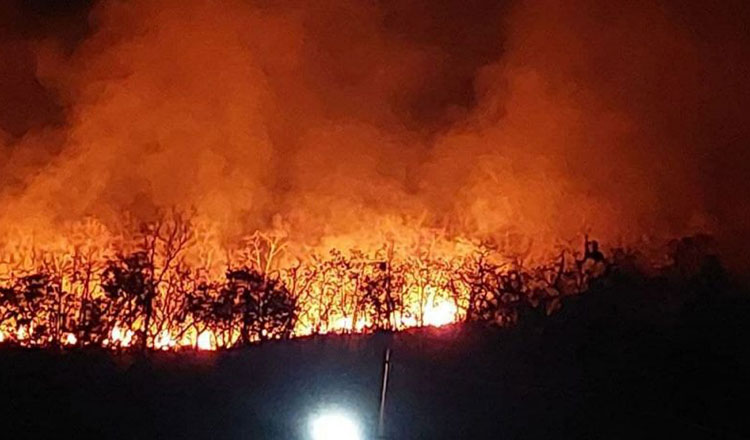 バンテアイミアンチャイの森林火災　苗木2千本焼失　放火を視野に捜査