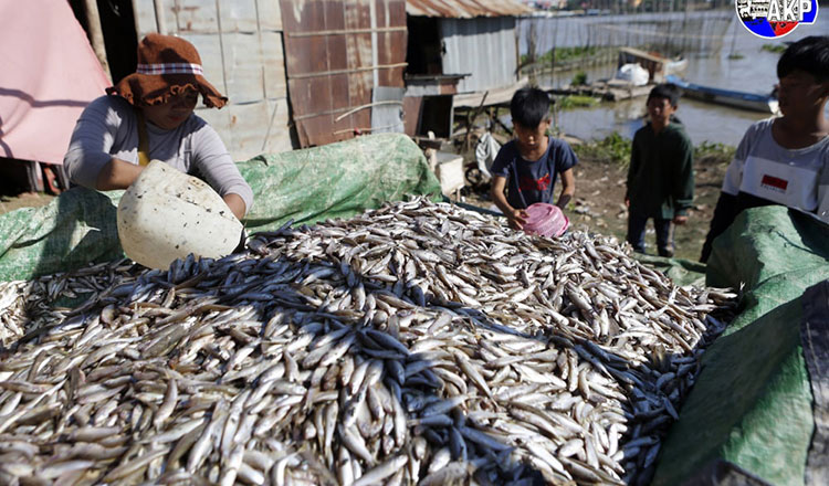 農林水産省・水産局　内陸の漁業地域に2022年の雨季の漁業を禁止
