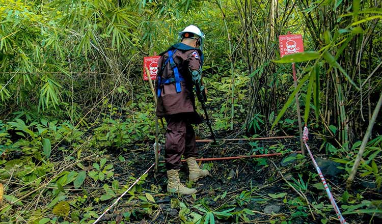 2023 年 3 月までに 5 つの州の無「地雷」化を宣言