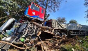 11月の15日間、祭りや国家行事で交通事故が急増、前月比で死傷7割増