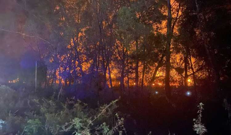 ポイペト市付近　森林火災で５ｈaの森を焼失する　幸い住宅地に延焼せず