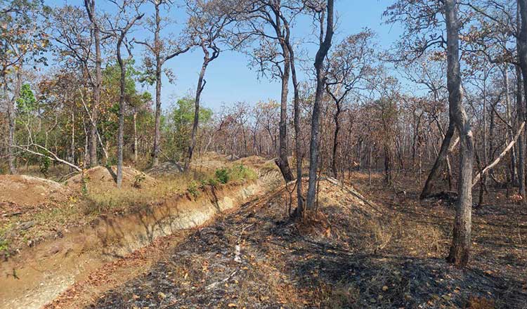 プレアビヒア州　警察は自然保護区の大規模森林火災の調査を開始した