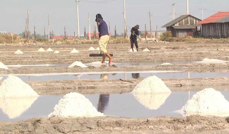 気候の影響でカンボジアの塩の生産量が減少