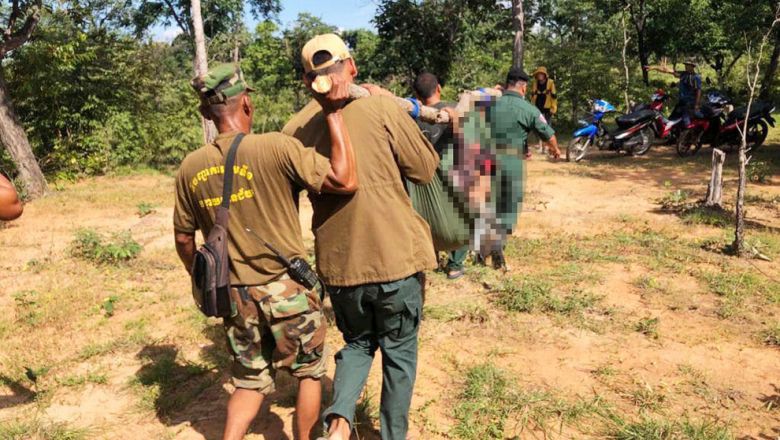 依然続く地雷事故　カンボジア地雷対策・被害者支援局（CMAA）は警告
