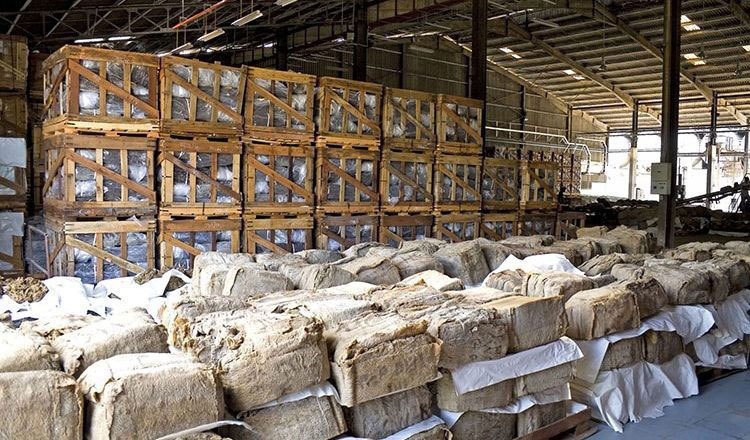 カンボジアは今年11か月間でゴム輸出で4億4,500万ドル以上