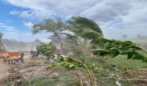 ＜速報＞　強風でプレア・シアヌーク州の800軒以上の住宅が被害