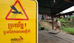 保健当局、2023年に国内ではマラリア感染者数が大幅に減少