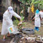 クラチエ州の16歳少年がH5N1型鳥インフルエンザに感染