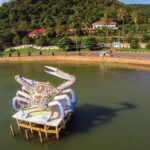 今後、猛暑が続くー最高気温は37℃に達する見込みー