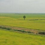 ポーサット州当局、カンボジア・デイリー・クメール報道を「捏造」と断定