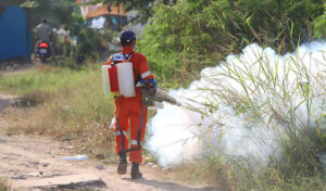 デング熱の季節がやってきた!首相は「人々の健康増進は政府の優先事項」と