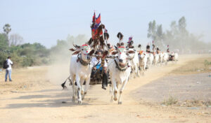 4月7日 コンポンスプー州で牛車レースが開催される