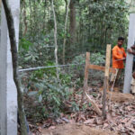 アプサラ当局 アンコール植物園を15haから150haに拡張