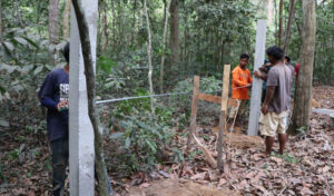 アプサラ当局 アンコール植物園を15haから150haに拡張