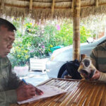 CI・カンボジア、生後2か月の「シルバーラングール」を救出