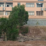 バベット　ベトナム人カジノ従業員が遺体で発見　警察が捜査