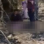 モンドルキリで女性がゾウに踏み殺される