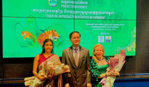 歴史的な導入計画に インドから野生のトラを導入