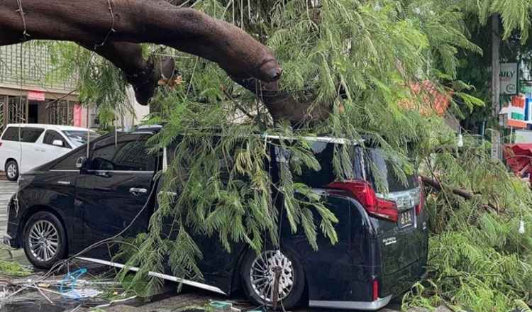 プノンペン都心部、局地的な暴風雨で倒木が車を押しつぶす