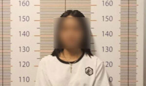 シンガポールから手配、ロマンス詐欺の女を逮捕