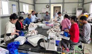 政府 130万人の海外出稼ぎ労働者に支援を提供