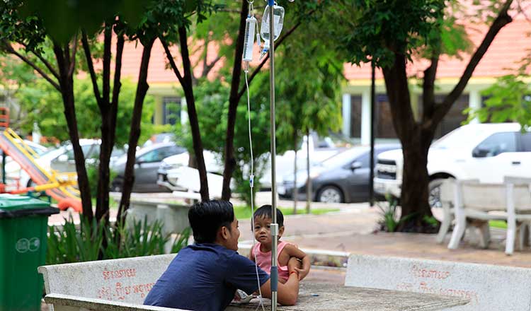 デング熱患者の増加、今年は流行年、既に死者23人が死亡