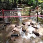 CMAA、大雨や洪水後の地雷リスク増加を警告