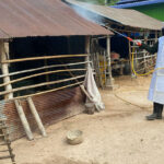 タケオ州　3歳男児が鳥インフルエンザに感染