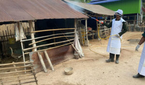 タケオ州 3歳男児が鳥インフルエンザに感染