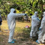 プレイベン州　15歳の少女がH5N1ウイルスで死亡