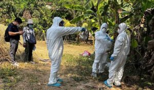 プレイベン州 15歳の少女がH5N1ウイルスで死亡