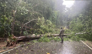 アプサラ機構(ANA)は悪天候のため観光客に注意情報
