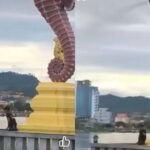 カンポットのタツノオトシゴ像に放尿した男の身元特定に100万リエルの懸賞金