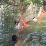 違法漁業の取り締まりを実施しているが、違法は続く