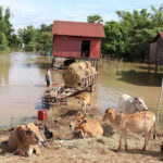 NCDMの報告、洪水は9つの州で13,000世帯以上に影響を与える