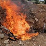 タイから密輸入された冷凍鶏手羽2トン以上を押収、焼却処分に