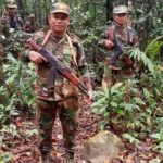 今年、最初の9か月間で約1,800件の国境犯罪を摘発