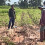 ウドンミエンチェイ州「古代の墓」荒らしの取り締まり