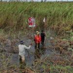 フナンテチョ運河フェーズ1の土地区画整理が55%完了