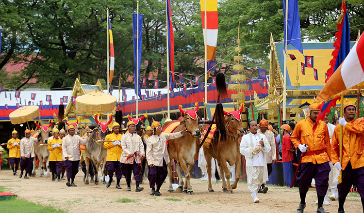 政府　耕起式（王室農耕祭）の準備を始める