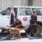 犬の訓練で地雷リスクの軽減　CMACと警察と協力