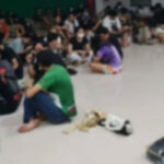 タイとの警察合同捜査、カンボジアの「詐欺拠点」から外国人215人救出