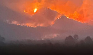 ポーサット州当局 森林火災がタイに広がったとの報道をフェイクと否定