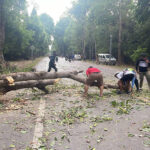 シェムリアップで落雷により1人死亡、破片により11人負傷