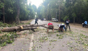 シェムリアップで落雷により1人死亡、破片により11人負傷